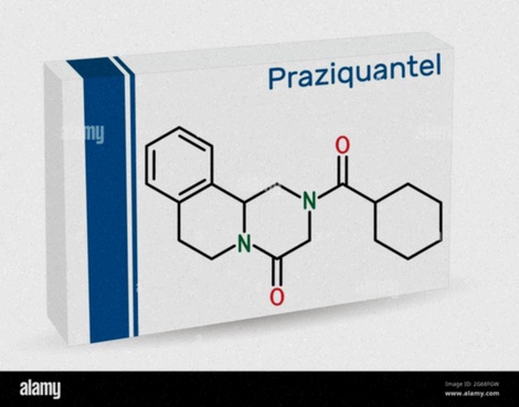 praziquantel