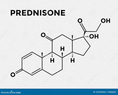 Prednisone generico