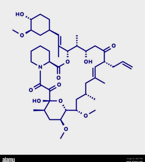 tacrolimus